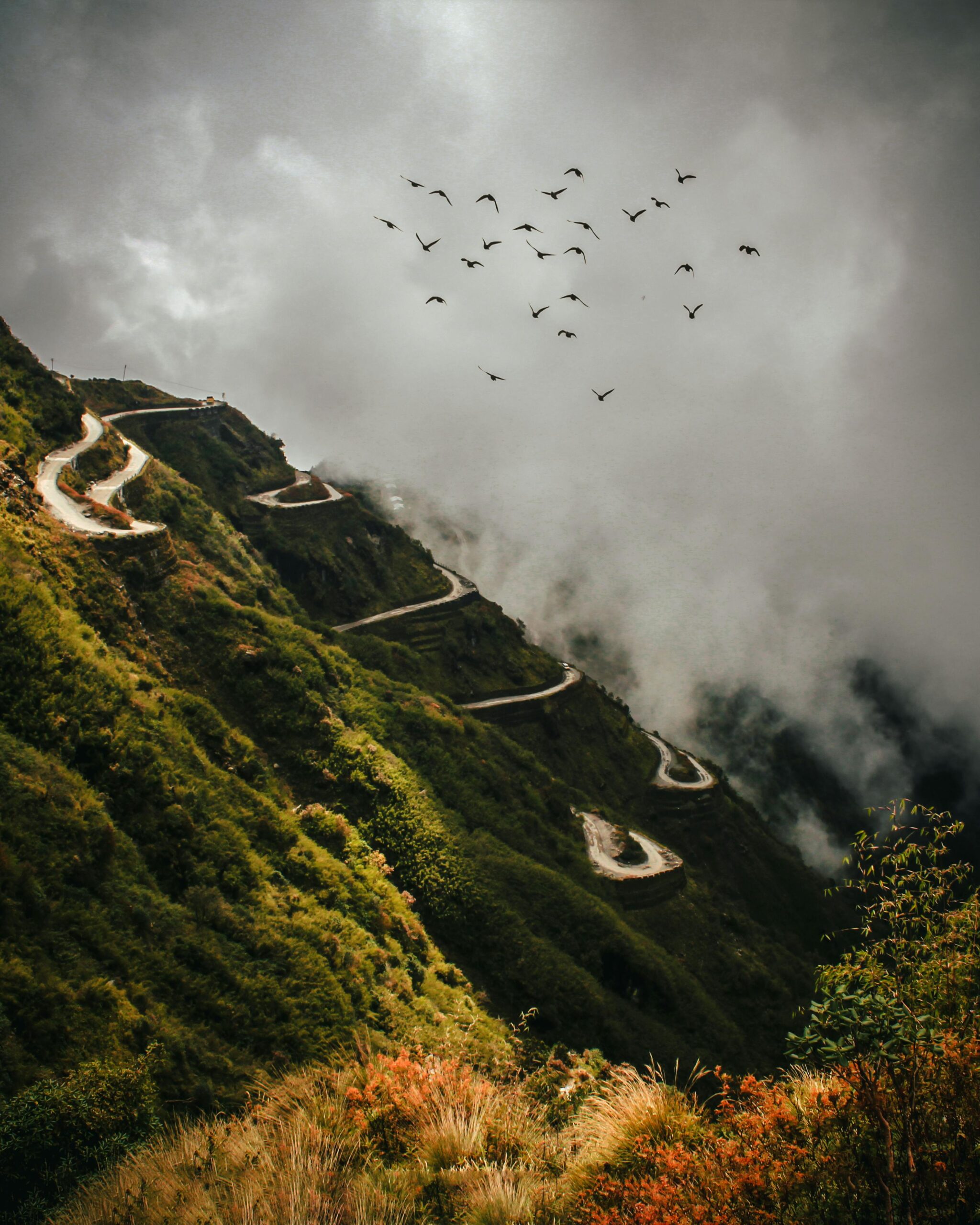 A dramatic view of a winding mountain road surrounded by lush greenery and a flock of birds under a cloudy sky.